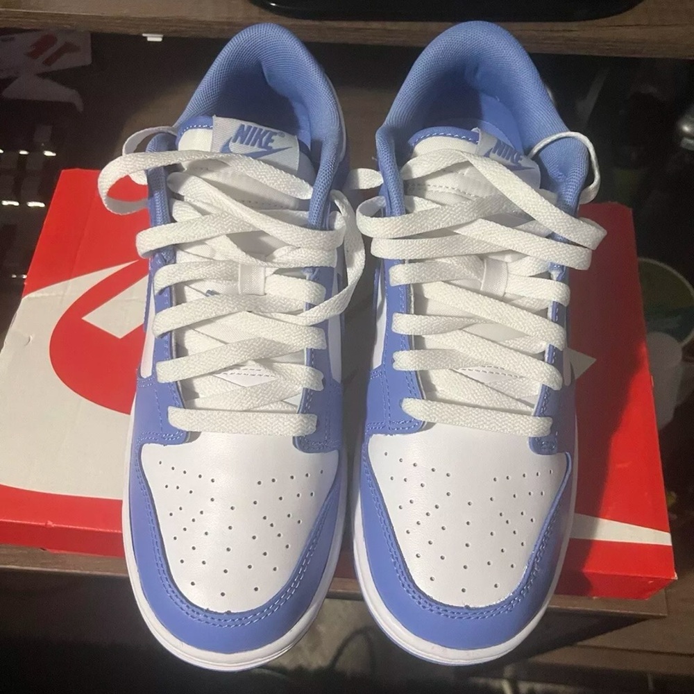 Nike dunk low colorway polar blue